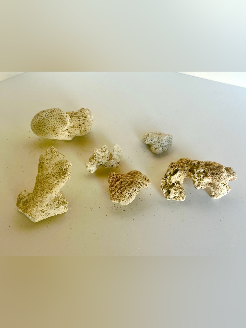 Natural White Coral Rock Décor for Habitats - lot of 6 Pieces